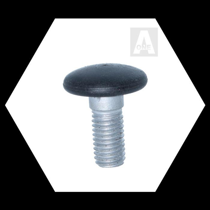 Carriage Bolt