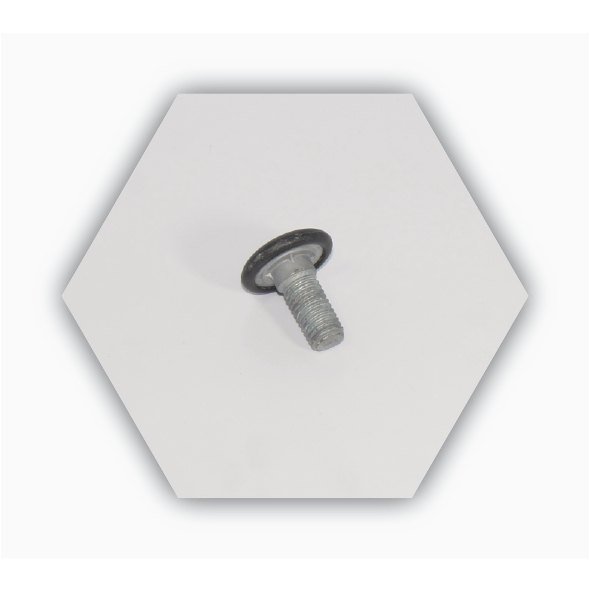 CARRIAGE BOLT 25 TO 60MM — product image 2