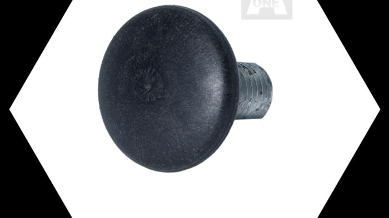 Carriage Bolt All Size`